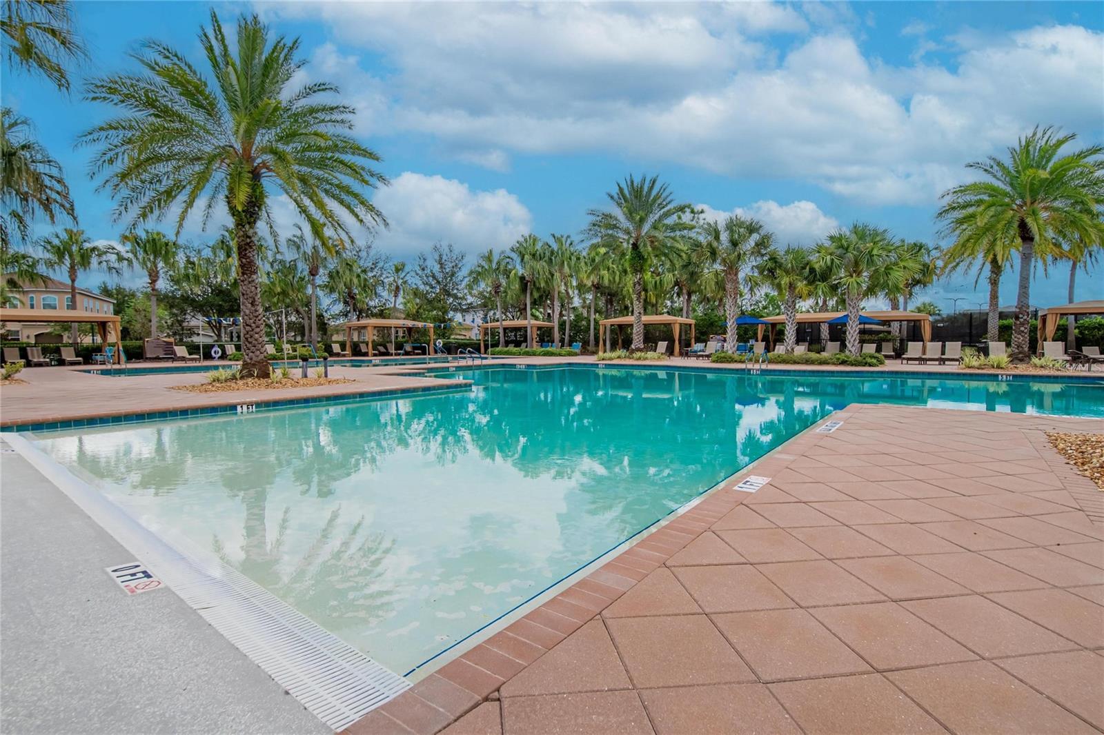43rd image of 31142 Lindentree Dr, Wesley Chapel, FL 33543 | MLS# TB8528584