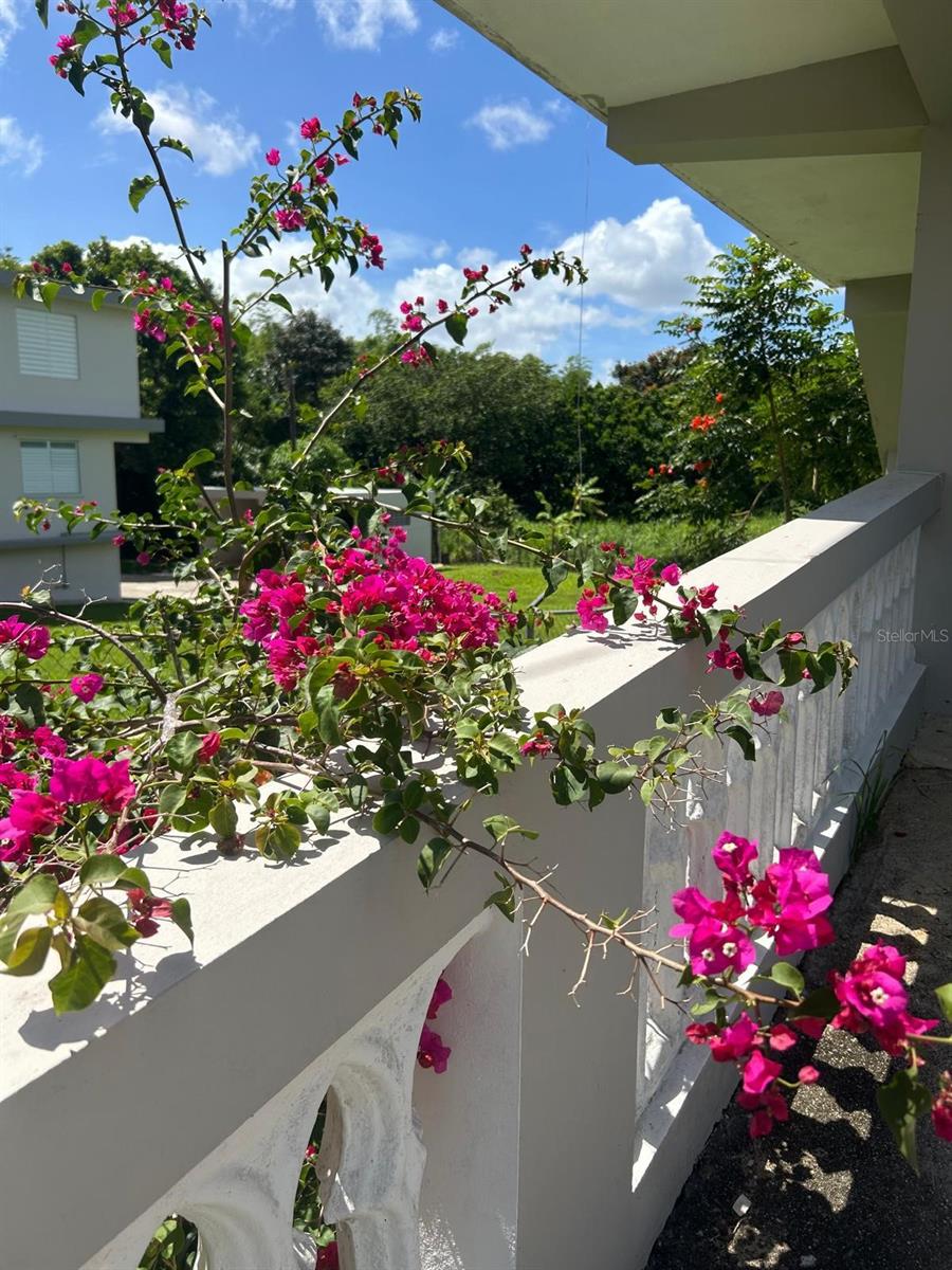 Homes for sale in Juncos, PR | Bo Ceiba Sur Sector Cnl Solar #6, Juncos, PR 00777 | MLS# PR9122722