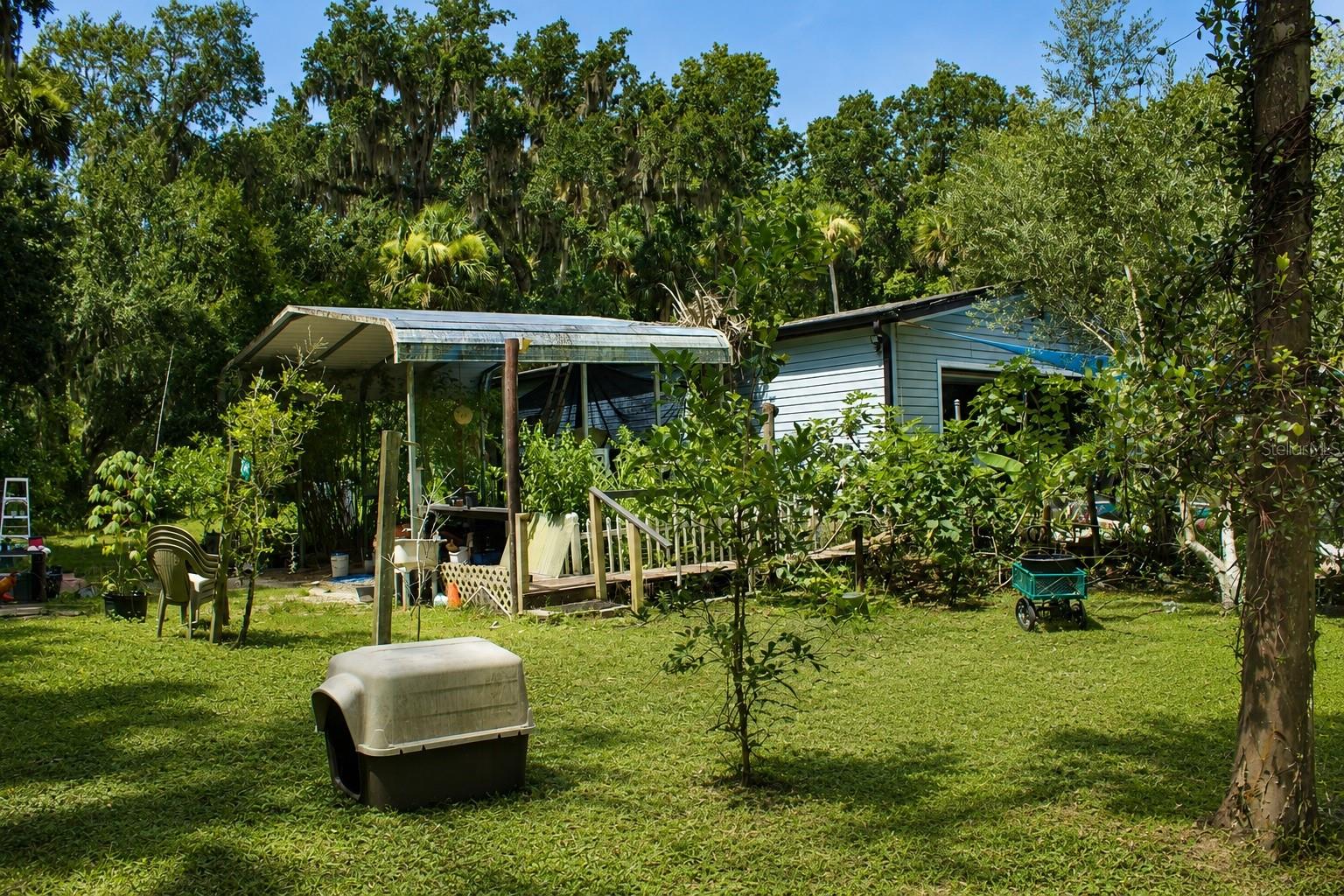 Homes for sale in Oak Hill, FL | 355 S Stacy Grove Rd , Rd, Oak Hill, FL 32759 | MLS# O6424726