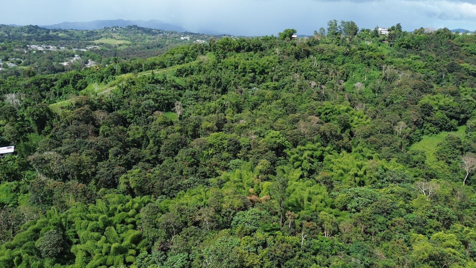 Homes for sale in San Lorenzo, PR | Pr 183, San Lorenzo, PR 00754 | MLS# PR9122749