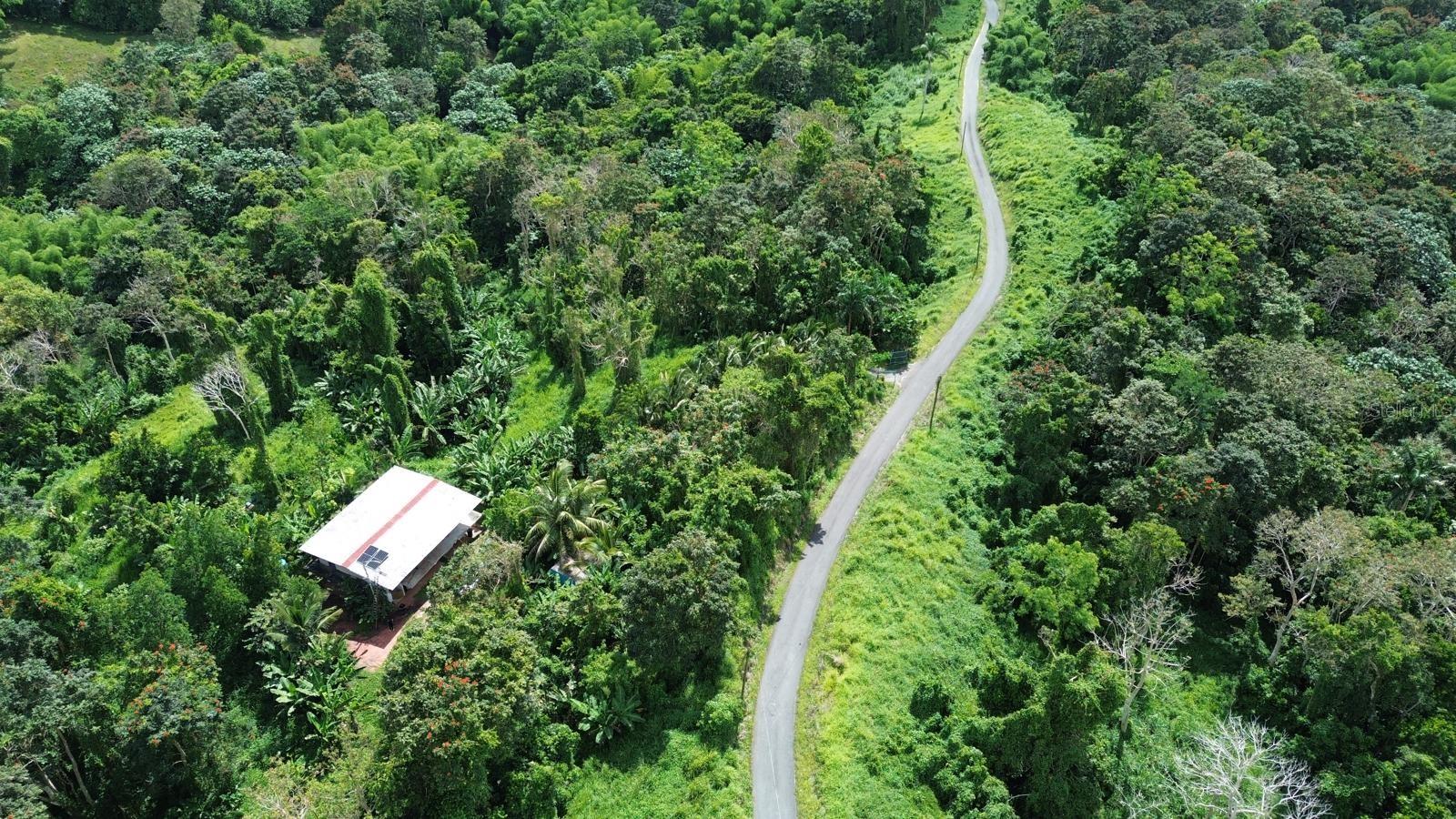 Homes for sale in San Lorenzo, PR | Pr-183, San Lorenzo, PR 00754 | MLS# PR9122749