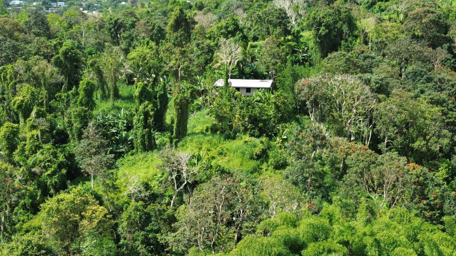 Homes for sale in San Lorenzo, PR | Pr 183, San Lorenzo, PR 00754 | MLS# PR9122749