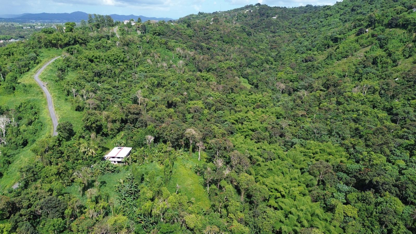 Homes for sale in San Lorenzo, PR | Pr-183, San Lorenzo, PR 00754 | MLS# PR9122749