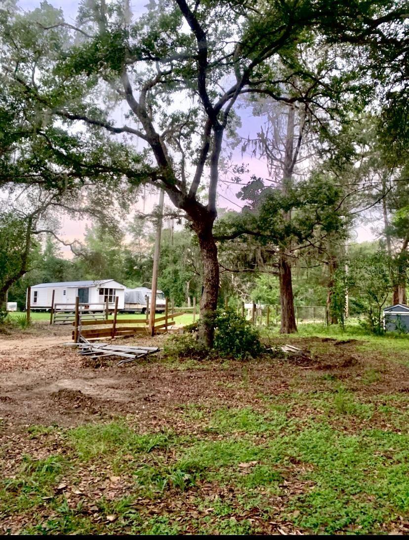 3rd image of 17273 Ne 37Th St, Silver Springs, FL 34488 | MLS# S5153700