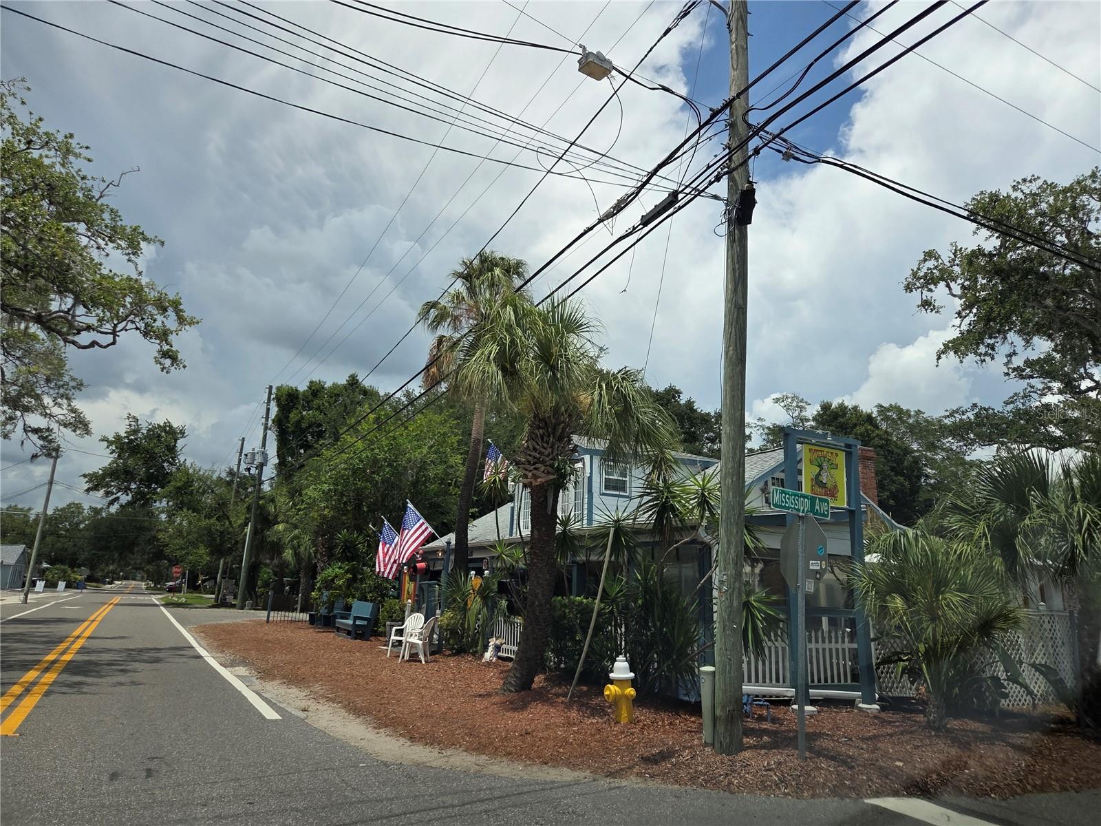 59th image of 770 Wildflower Dr, Palm Harbor, FL 34683 | MLS# TB8529079