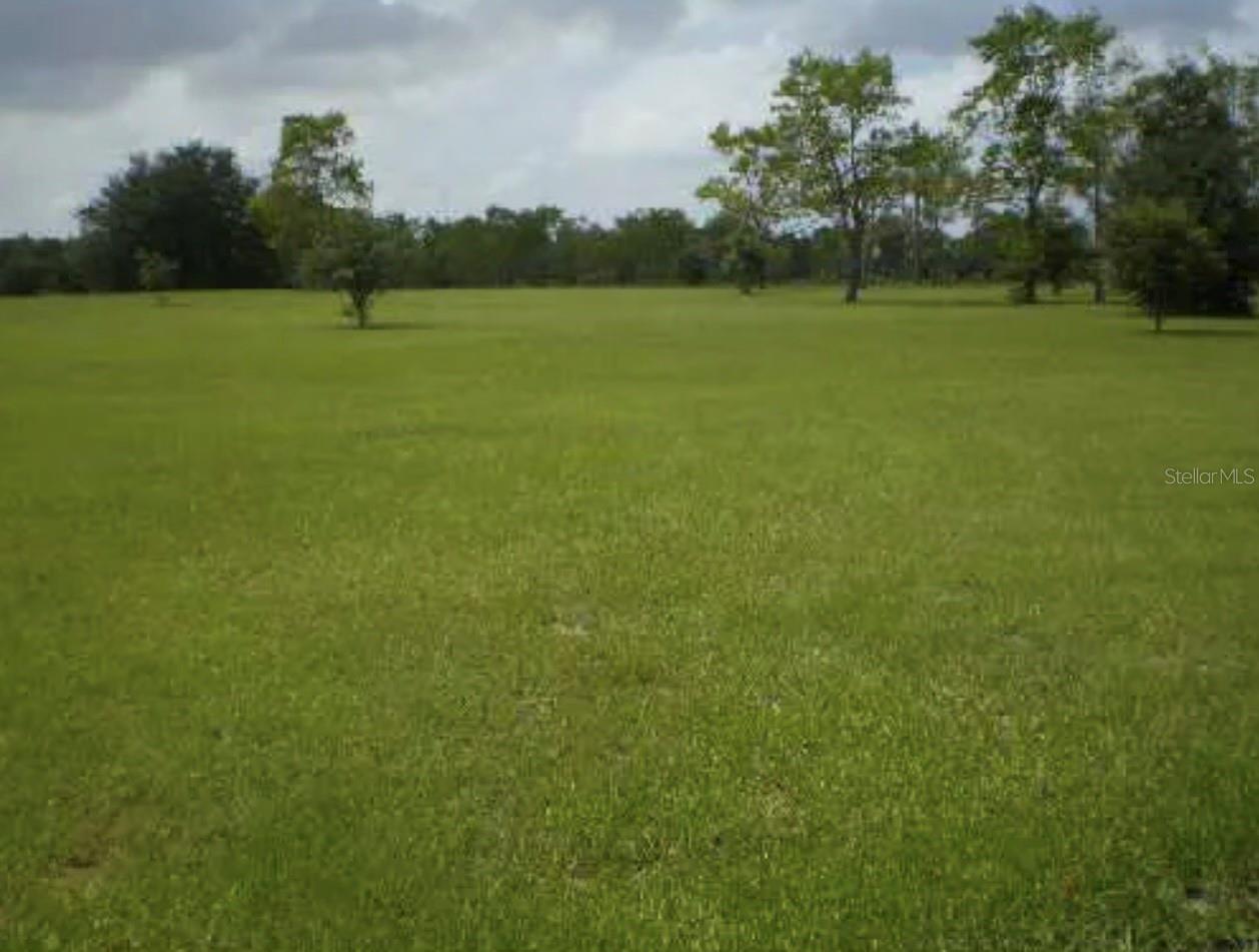 1st image of 25429 Shetland Trl, Sorrento, FL 32776 | MLS# O6425037