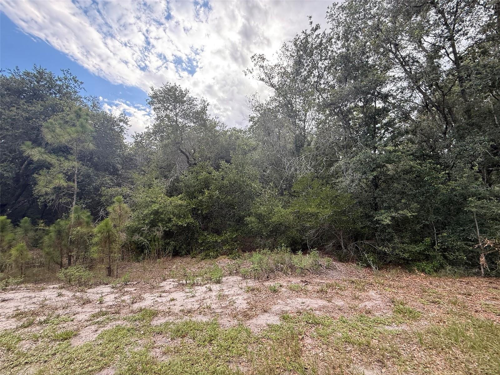 11th image of 1012 Wildflower St, Lake Placid, FL 33852 | MLS# K4903640