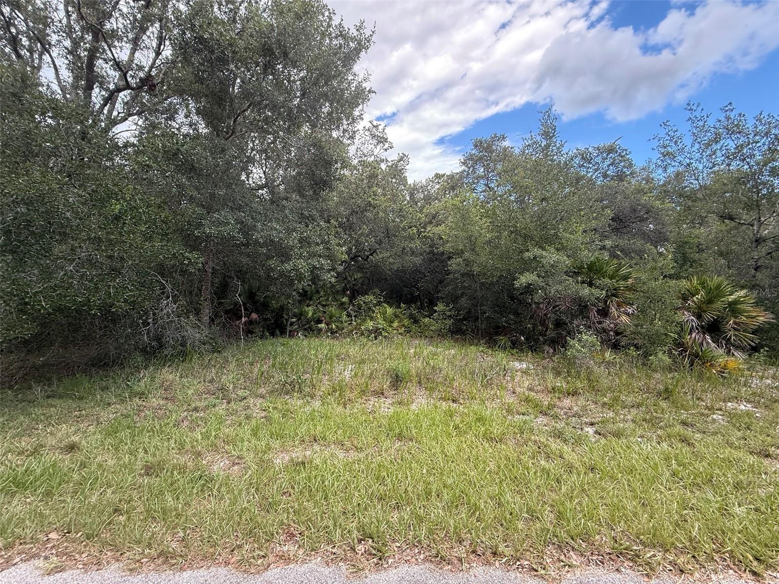 5th image of 1012 Wildflower St, Lake Placid, FL 33852 | MLS# K4903640