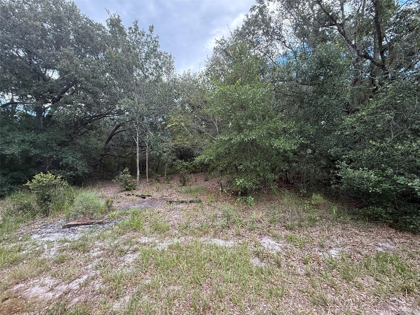 3rd image of 1012 Wildflower St, Lake Placid, FL 33852 | MLS# K4903640