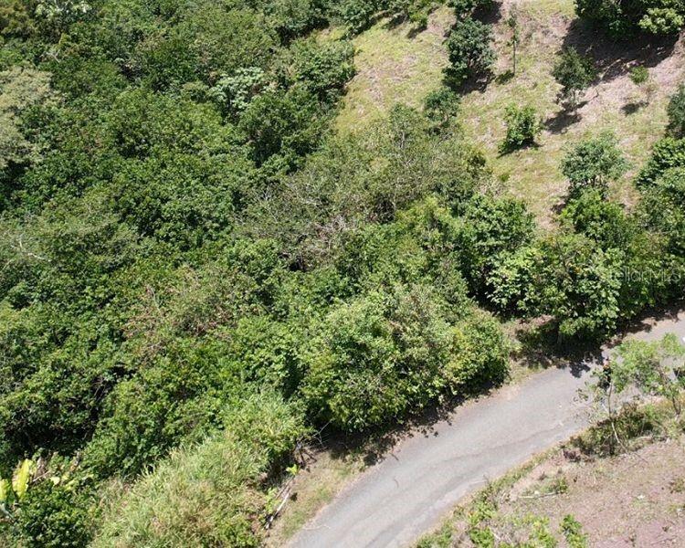 Homes for sale in Cidra, PR | Hacienda De Cidra, Rabanal Parcela #32, Cidra, PR 00739 | MLS# PR9122768