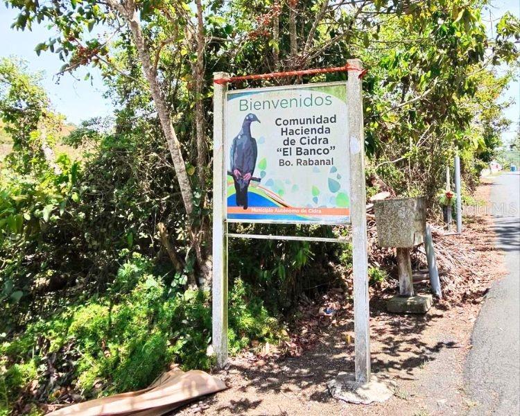 Homes for sale in Cidra, PR | Hacienda De Cidra, Rabanal Parcela #32, Cidra, PR 00739 | MLS# PR9122768