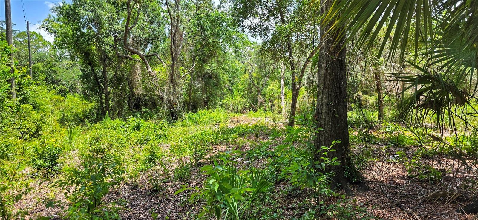 11th image of 02 25 16 0000 00300 0042 State Road 52, Hudson, FL 34667 | MLS# W7887650