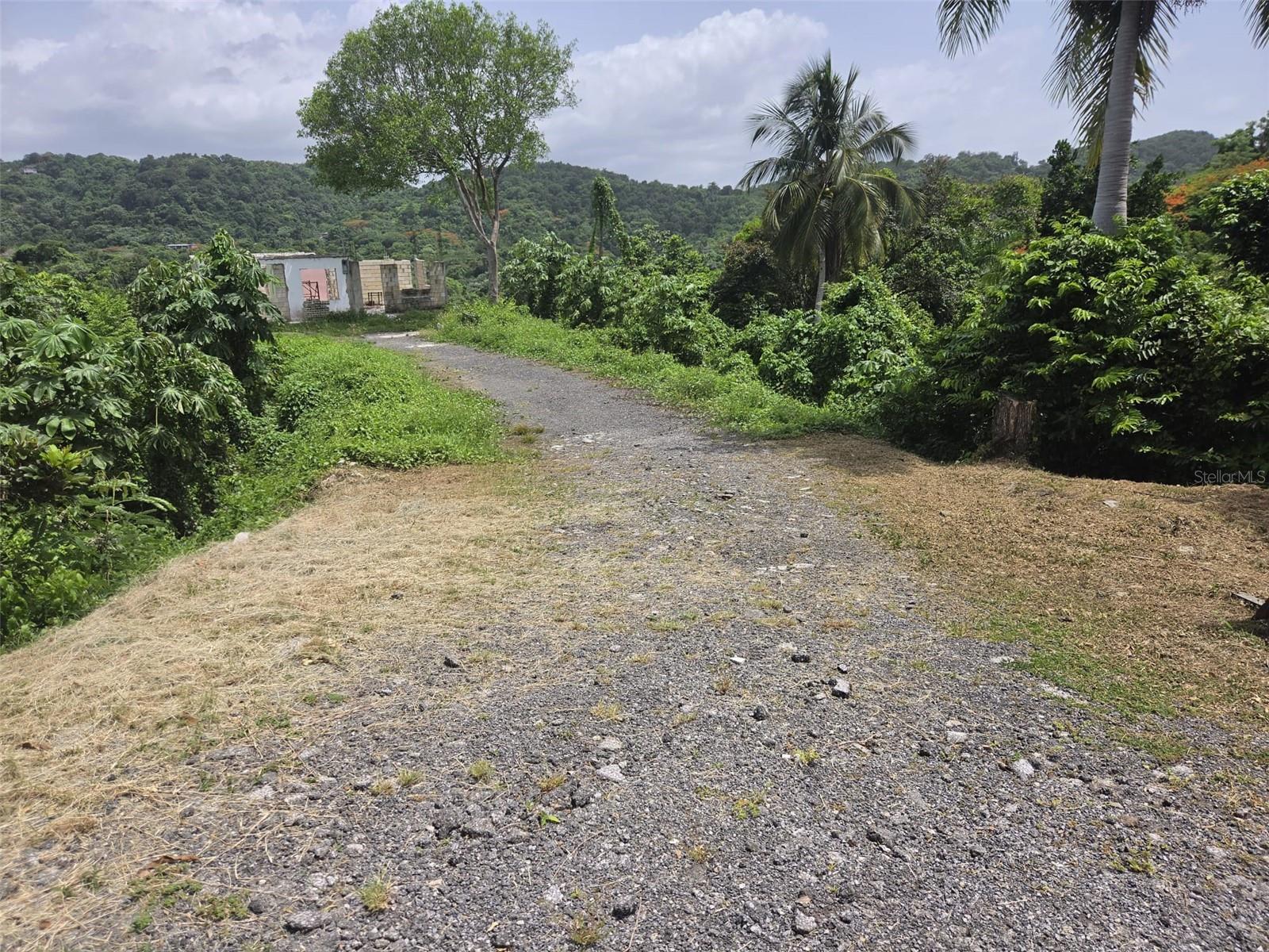 Homes for sale in Mayaguez, PR | Carr 348, Km 57 Int Bo Malezas, Mayaguez, PR 00680 | MLS# PR9122789