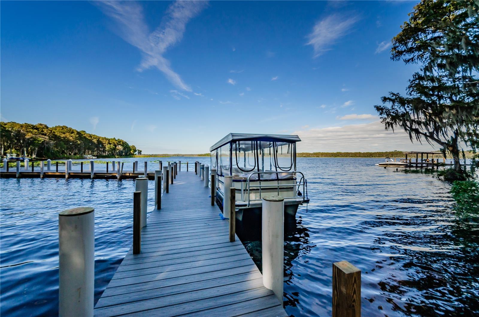 2nd image of 1335 Queen Anne Dr, PALM HARBOR, FL 34684
