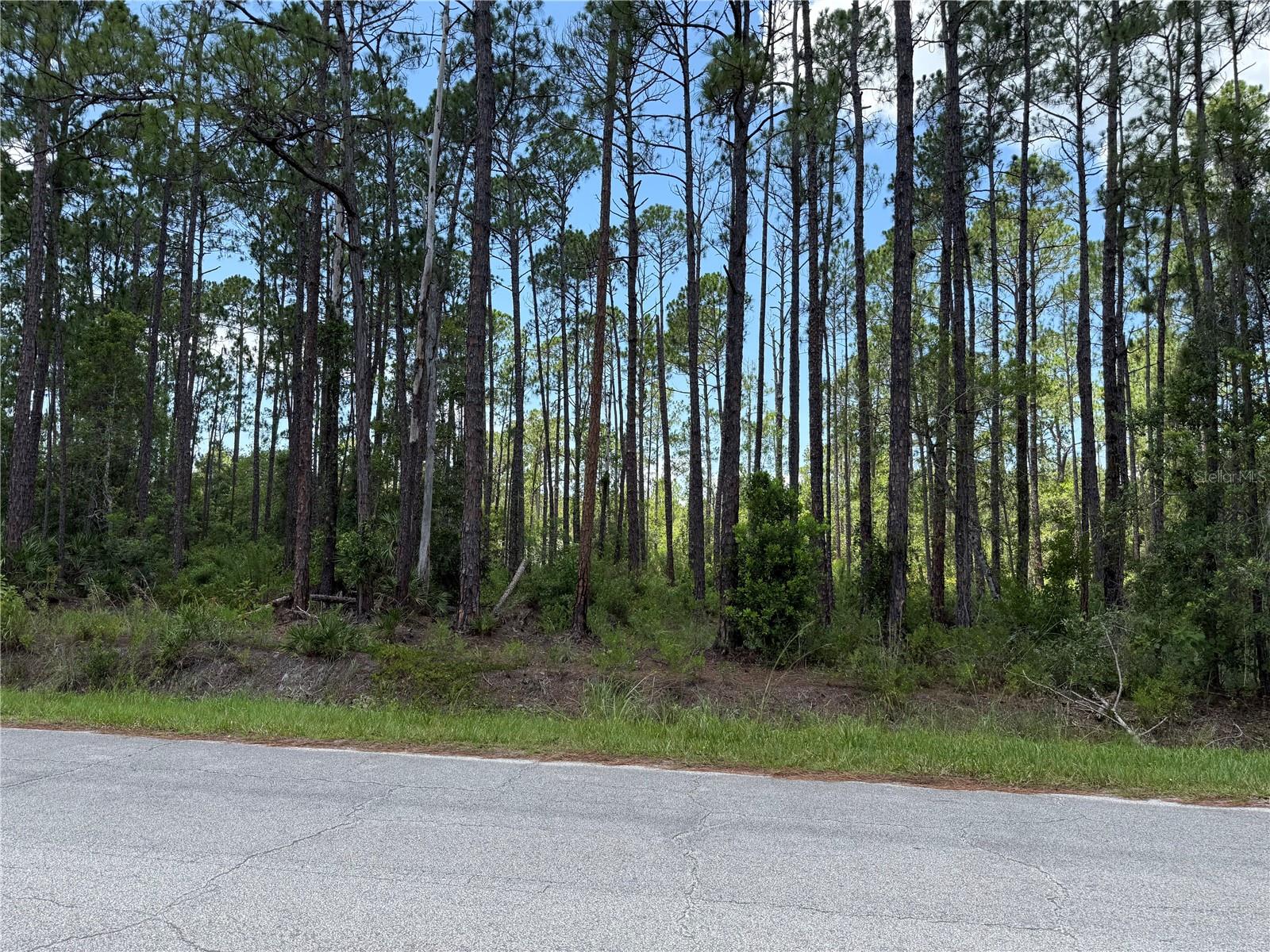 Homes for sale in Bunnell, FL | 2914 Avocado Blvd, Bunnell, FL 32110 | MLS# FC319997