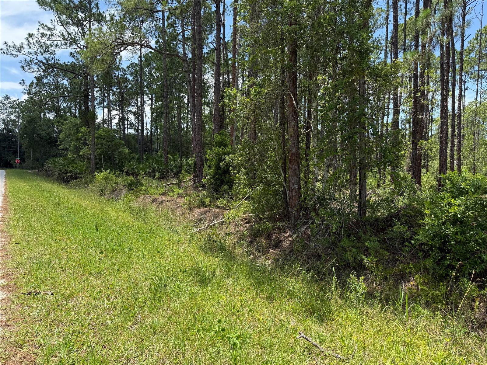Homes for sale in Bunnell, FL | 2914 Avocado Blvd, Bunnell, FL 32110 | MLS# FC319997
