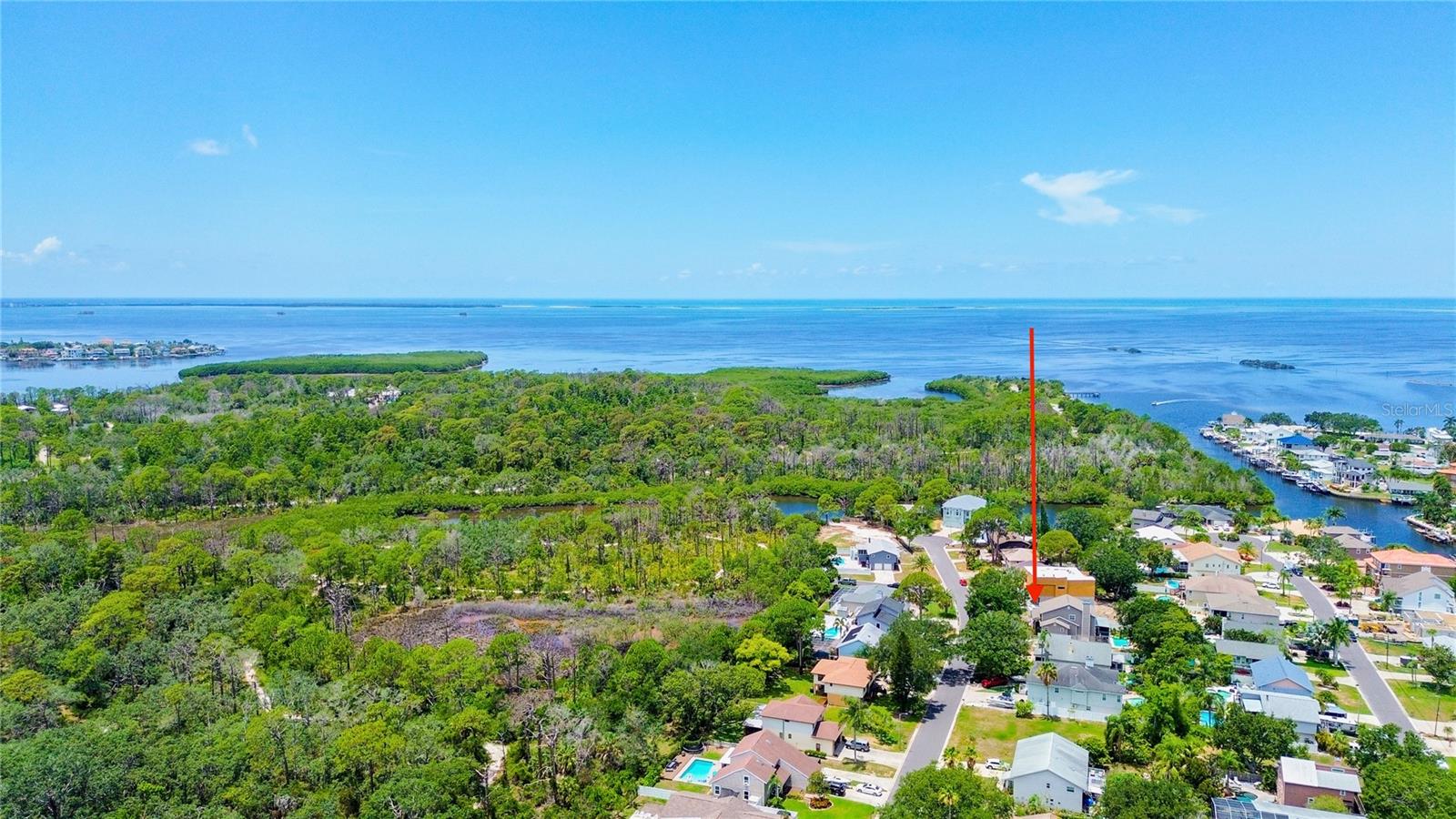 1st image of 14 Baywood Dr, Palm Harbor, FL 34683 | MLS# TB8529883