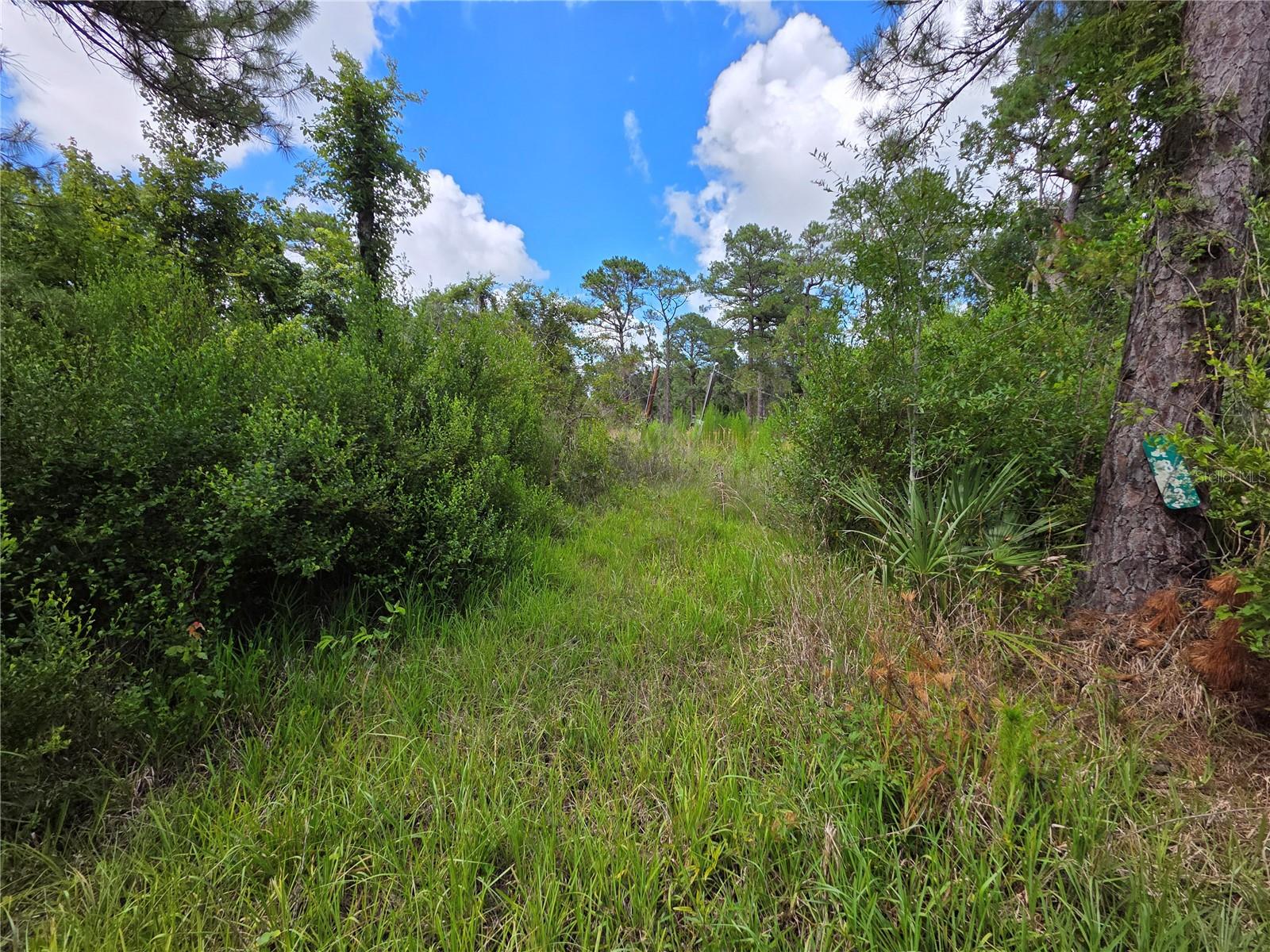 2nd image of 4863 Meadow Green Rd, Mims, FL 32754 | MLS# V4950259