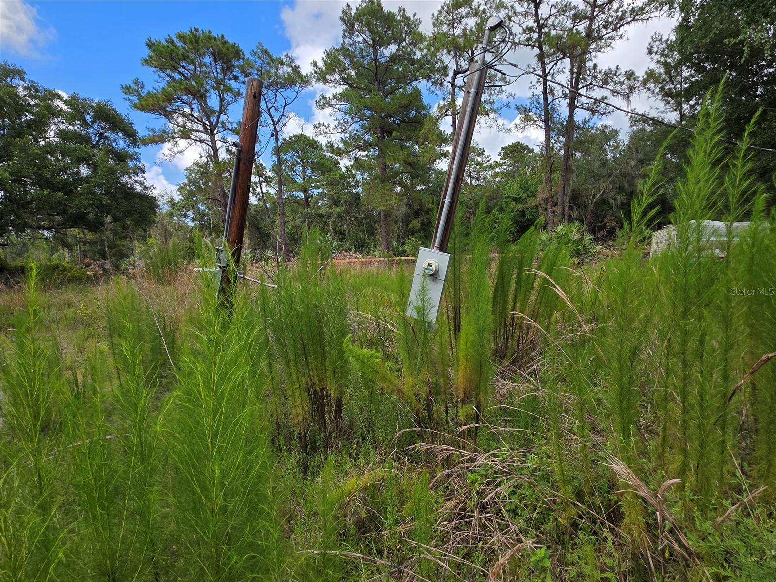 5th image of 4863 Meadow Green Rd, Mims, FL 32754 | MLS# V4950259