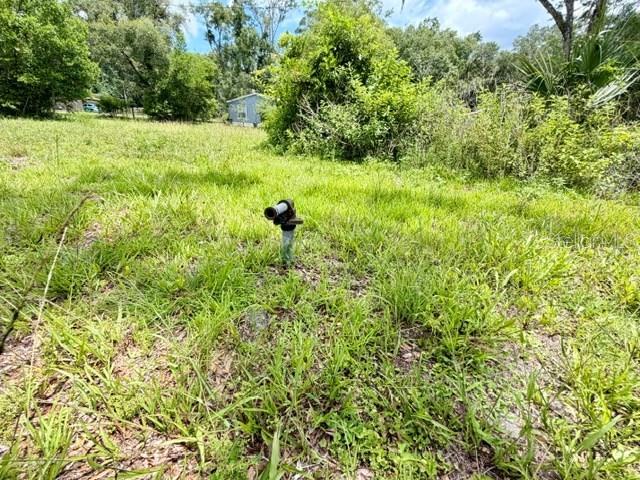 Homes for sale in Fanning Springs, FL | 9749 Florida St, Fanning Springs, FL 32693 | MLS# GC542023