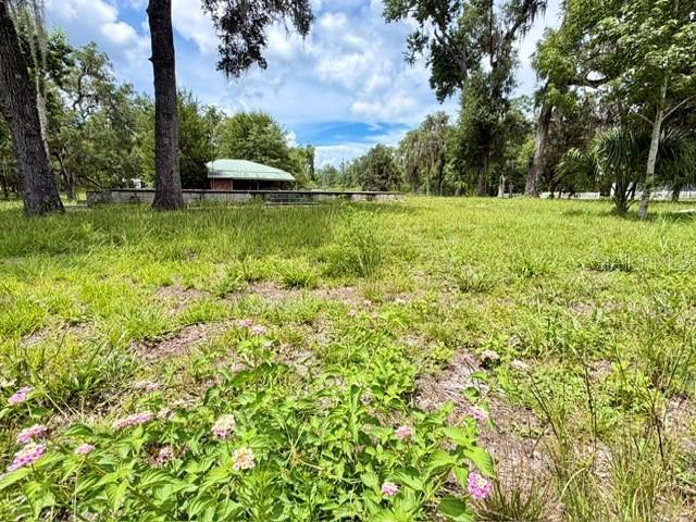 Homes for sale in Fanning Springs, FL | 9749 Florida St, Fanning Springs, FL 32693 | MLS# GC542023