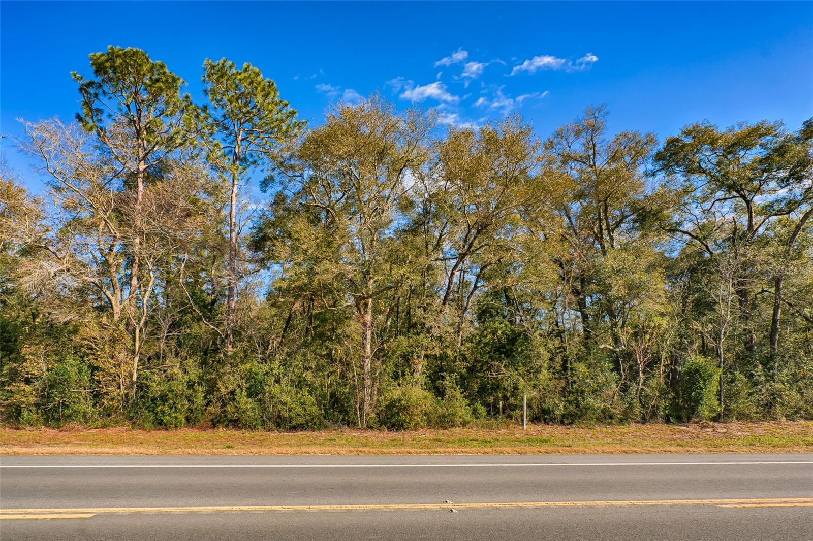 Homes for sale in Bell, FL | S Us Hwy 129, Bell, FL 32619 | MLS# S5153899