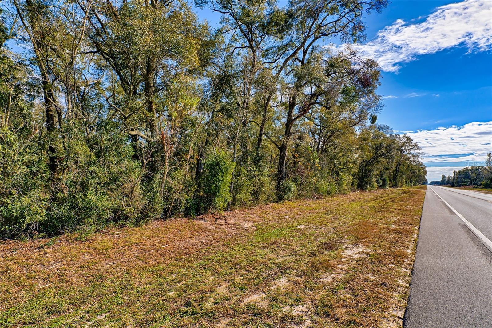 Homes for sale in Bell, FL | S Us Hwy 129, Bell, FL 32619 | MLS# S5153899