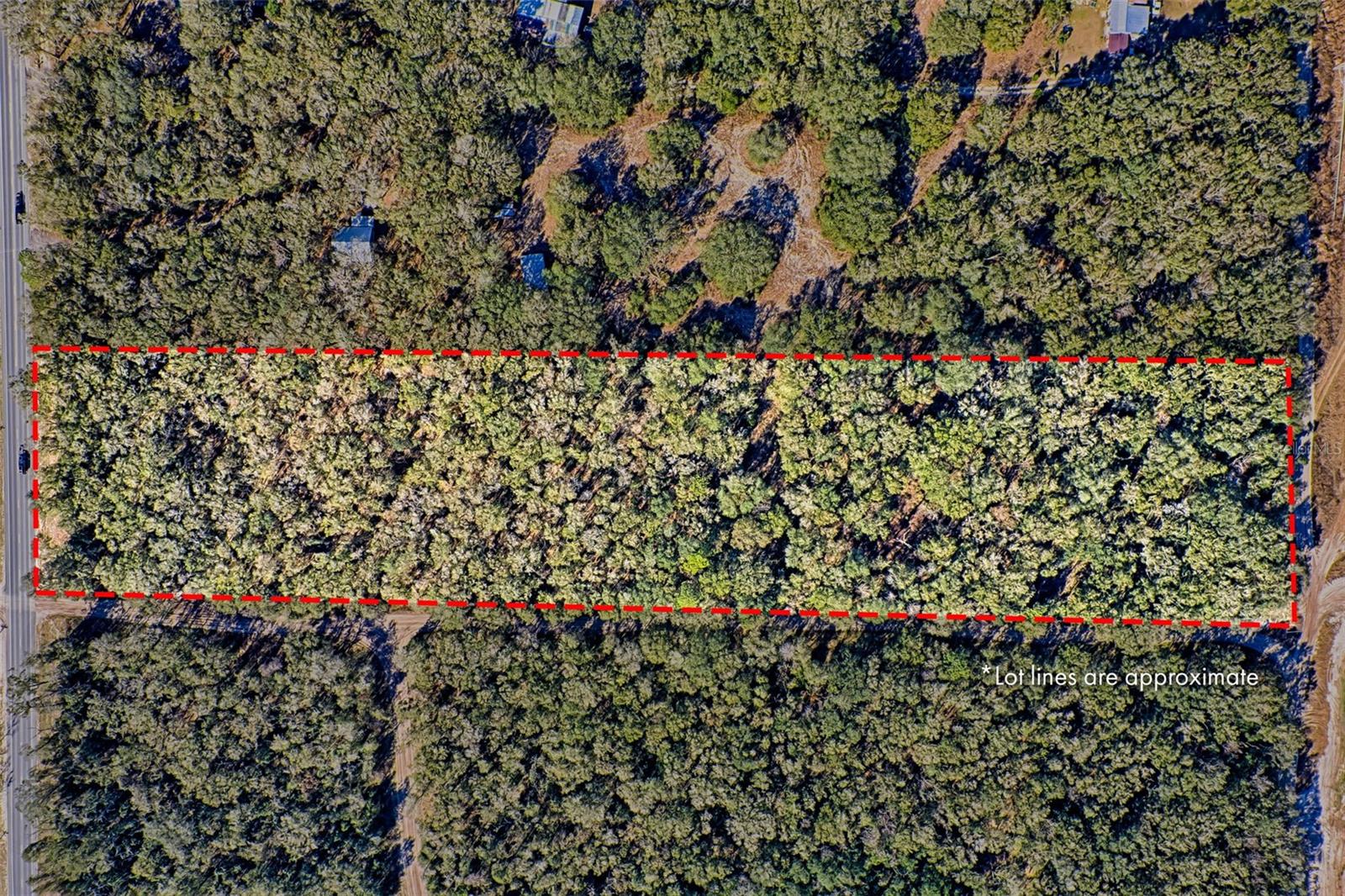 Homes for sale in Bell, FL | S Us Hwy 129, Bell, FL 32619 | MLS# S5153899