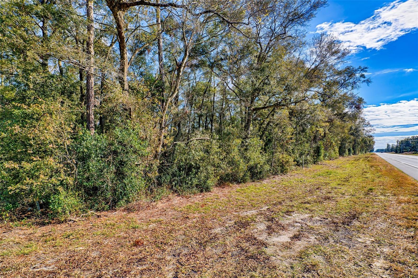 Homes for sale in Bell, FL | S Us Hwy 129, Bell, FL 32619 | MLS# S5153899