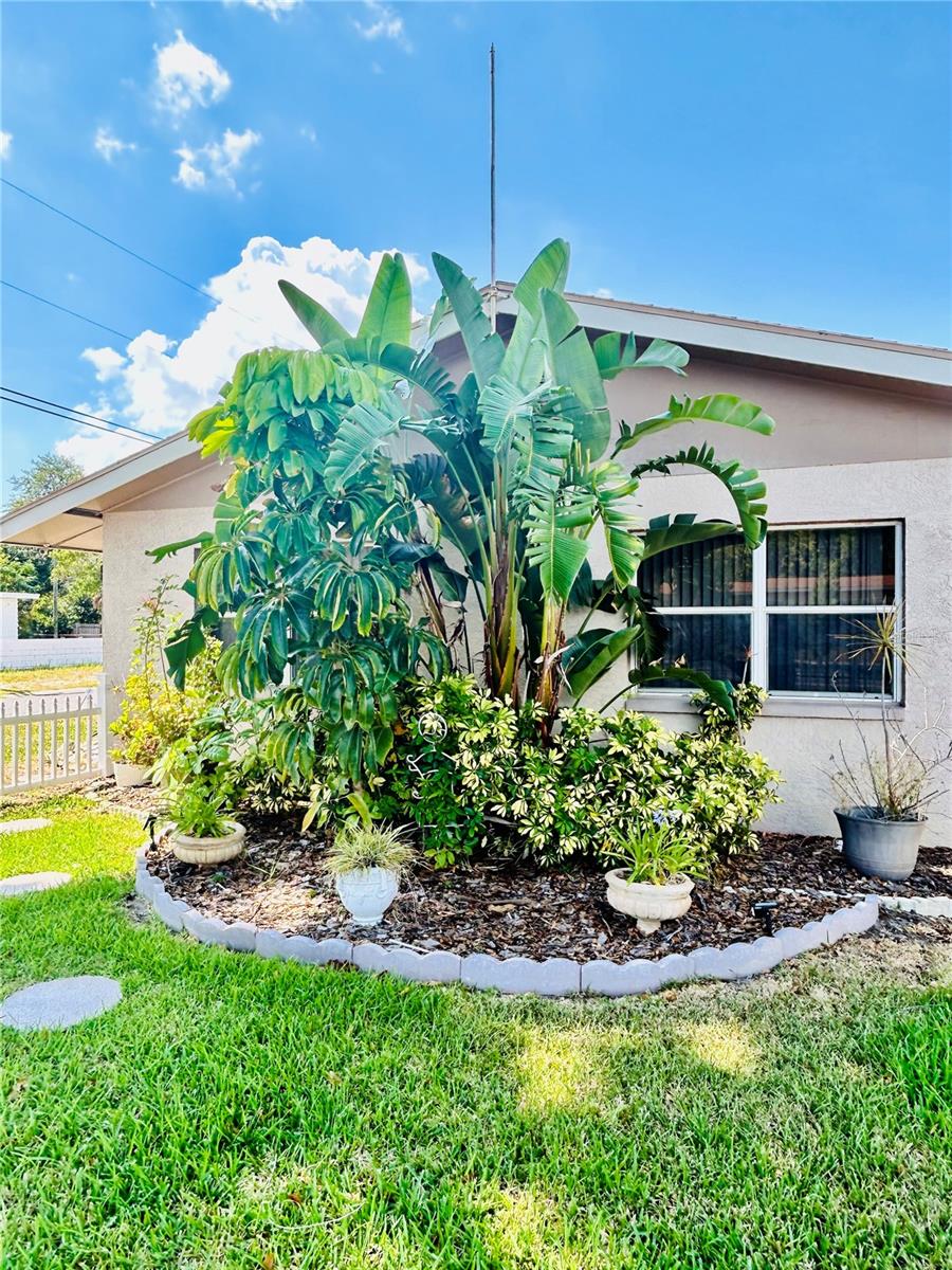 23rd image of 6190 6th Street, St Petersburg, FL 33705 | MLS# TB8530136
