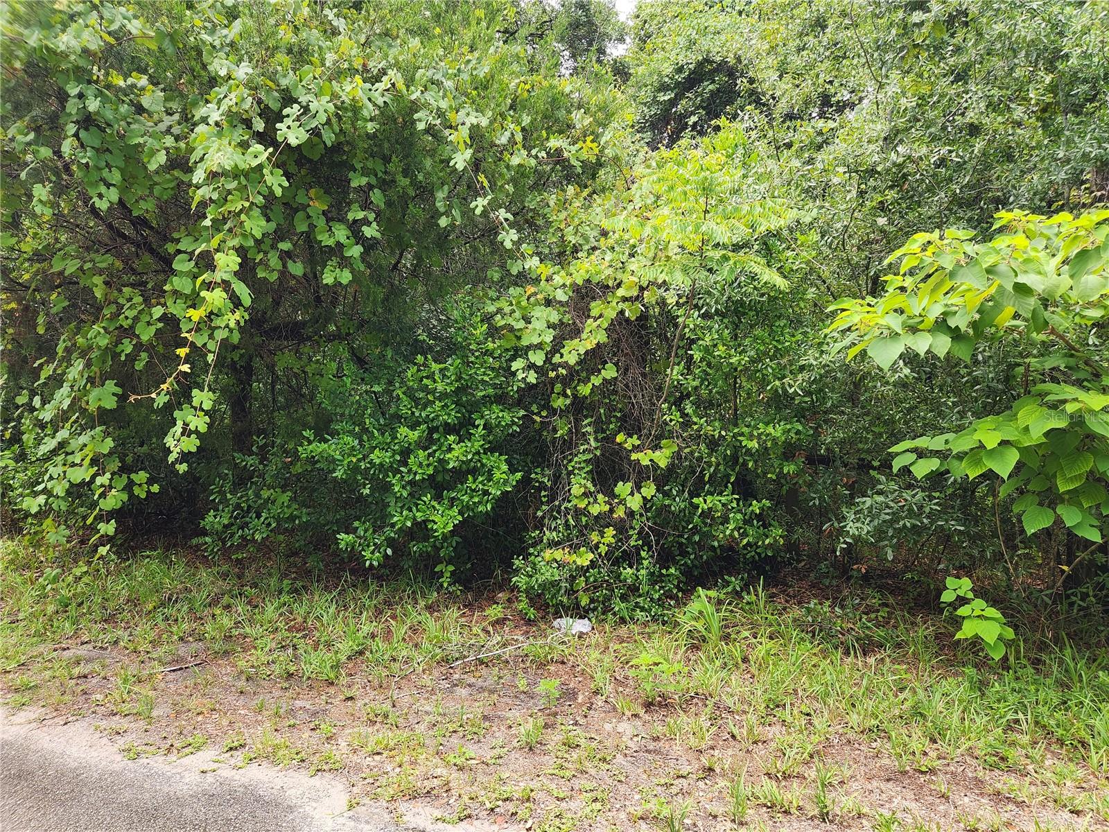 4th image of 00 Oak Dr #Tract 25, Hudson, FL 34669 | MLS# W7887743