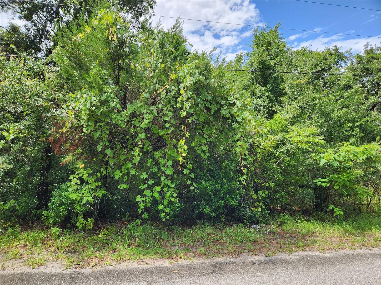 1st image of 00 Oak Dr #Tract 25, Hudson, FL 34669 | MLS# W7887743