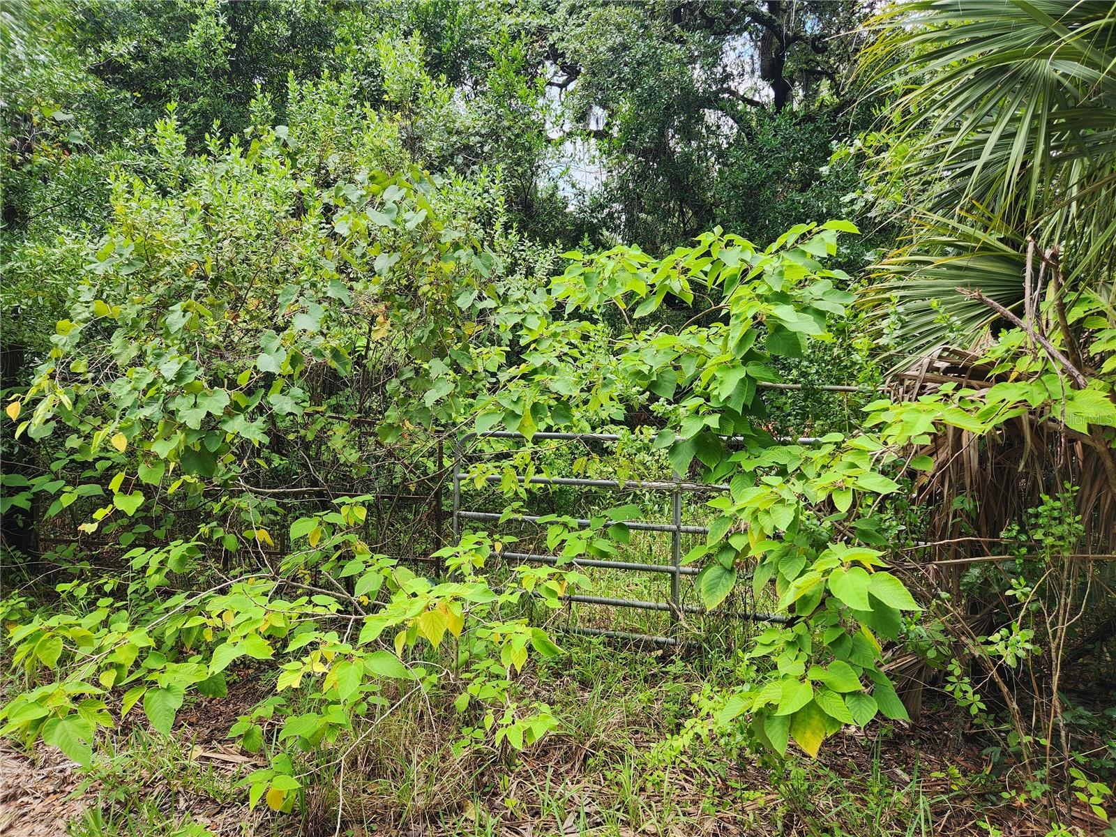 3rd image of 00 Oak Dr #Tract 25, Hudson, FL 34669 | MLS# W7887743