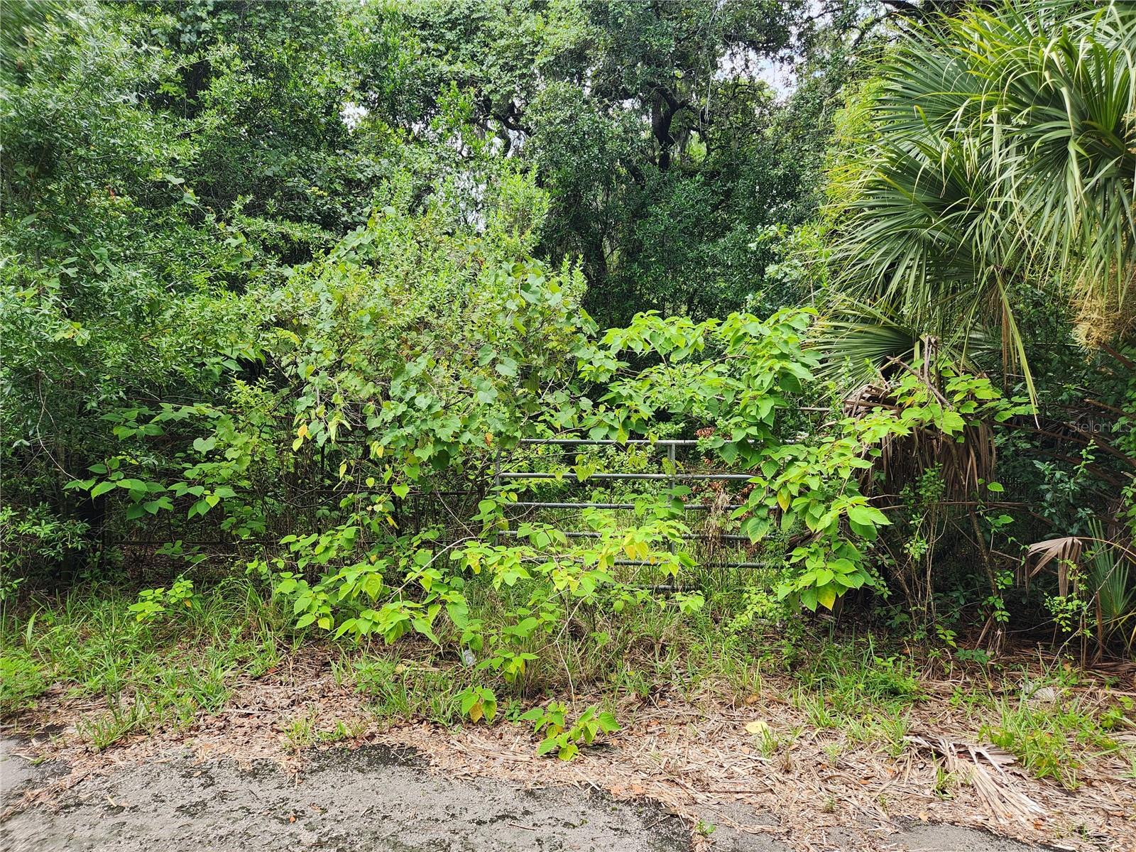 5th image of 00 Oak Dr #Tract 25, Hudson, FL 34669 | MLS# W7887743