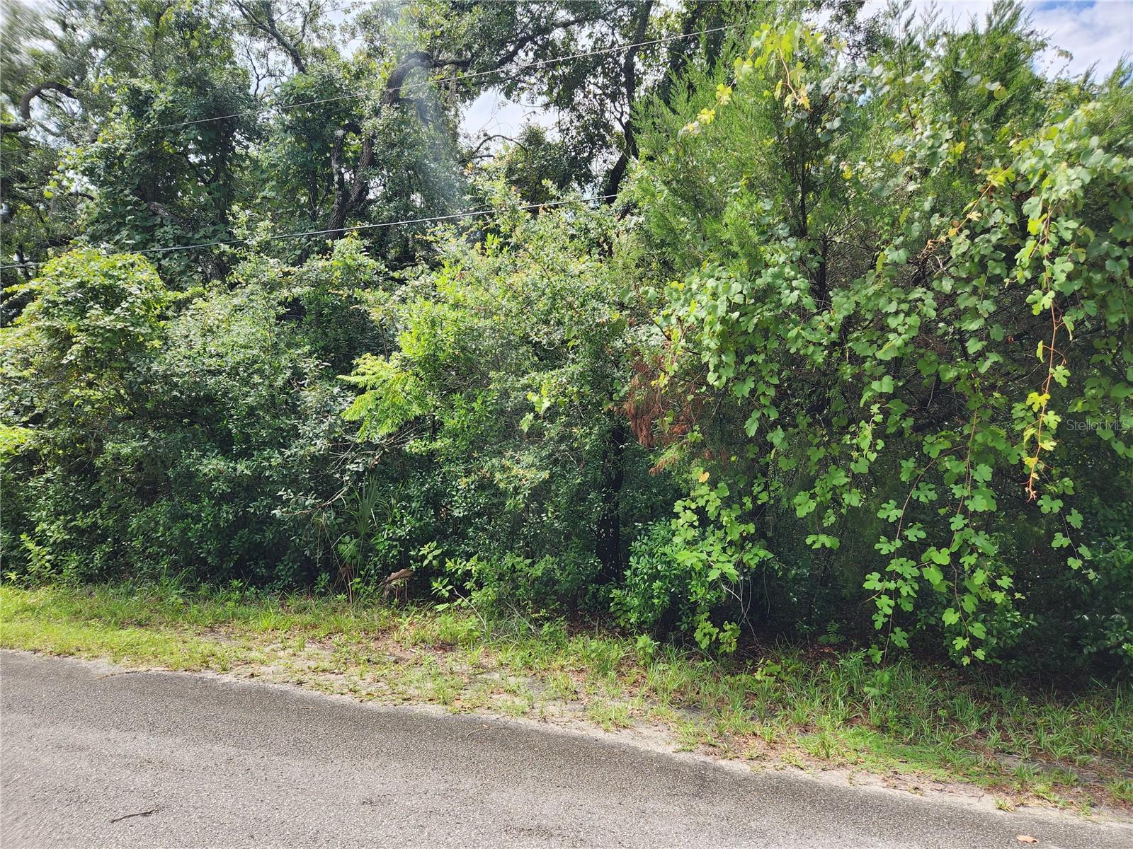 2nd image of 00 Oak Dr #Tract 25, Hudson, FL 34669 | MLS# W7887743