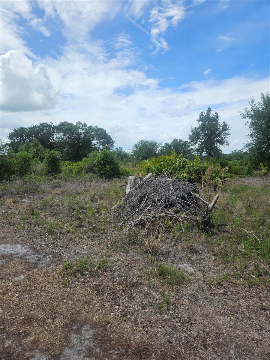 8th image of 1865 Ne Cross Ave, Arcadia, FL 34266 | MLS# A4700291