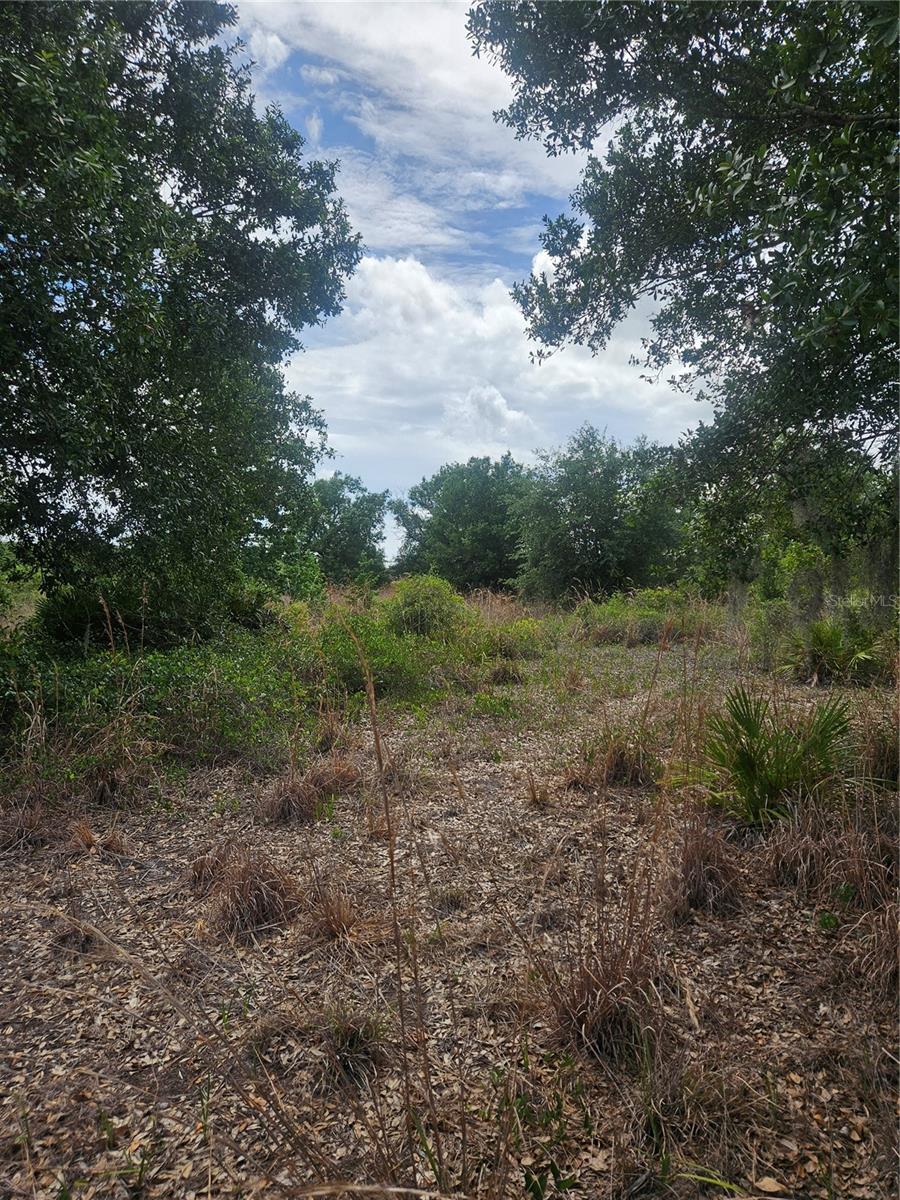5th image of 1865 Ne Cross Ave, Arcadia, FL 34266 | MLS# A4700291