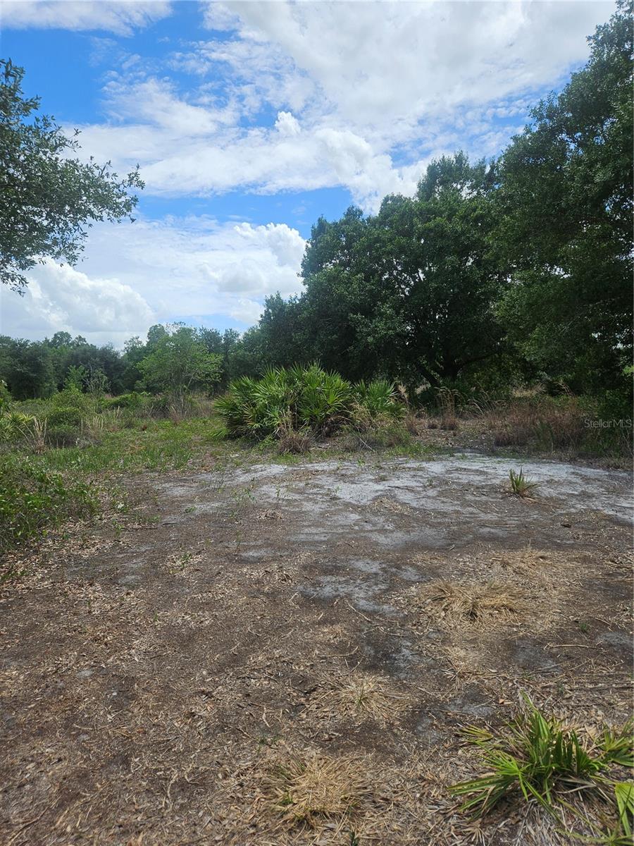 4th image of 1865 Ne Cross Ave, Arcadia, FL 34266 | MLS# A4700291