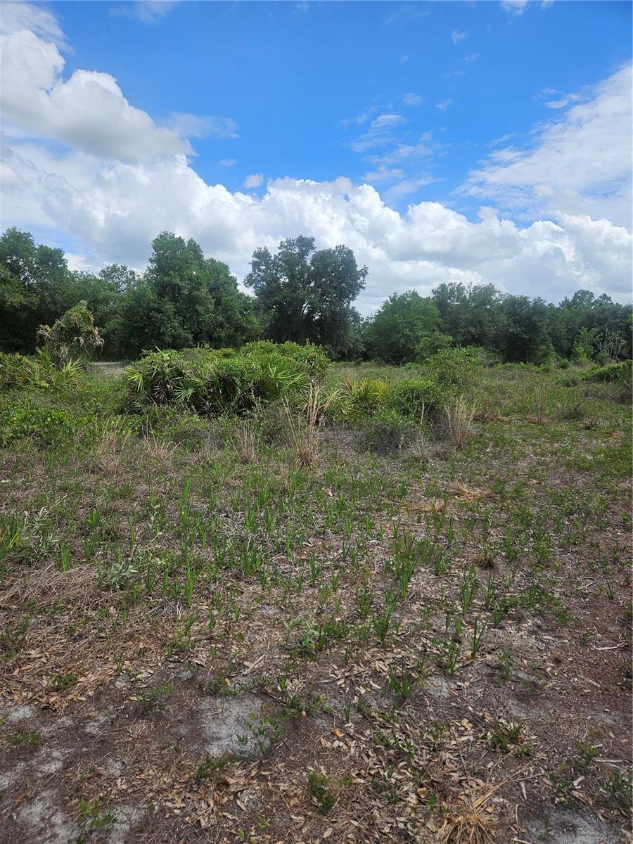 3rd image of 1865 Ne Cross Ave, Arcadia, FL 34266 | MLS# A4700291