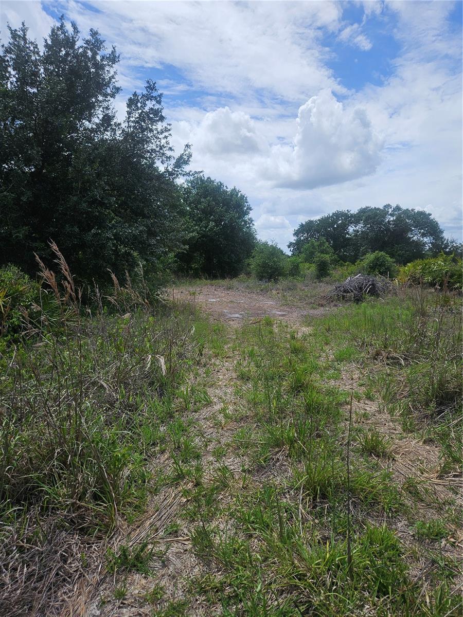 1st image of 1865 Ne Cross Ave, Arcadia, FL 34266 | MLS# A4700291