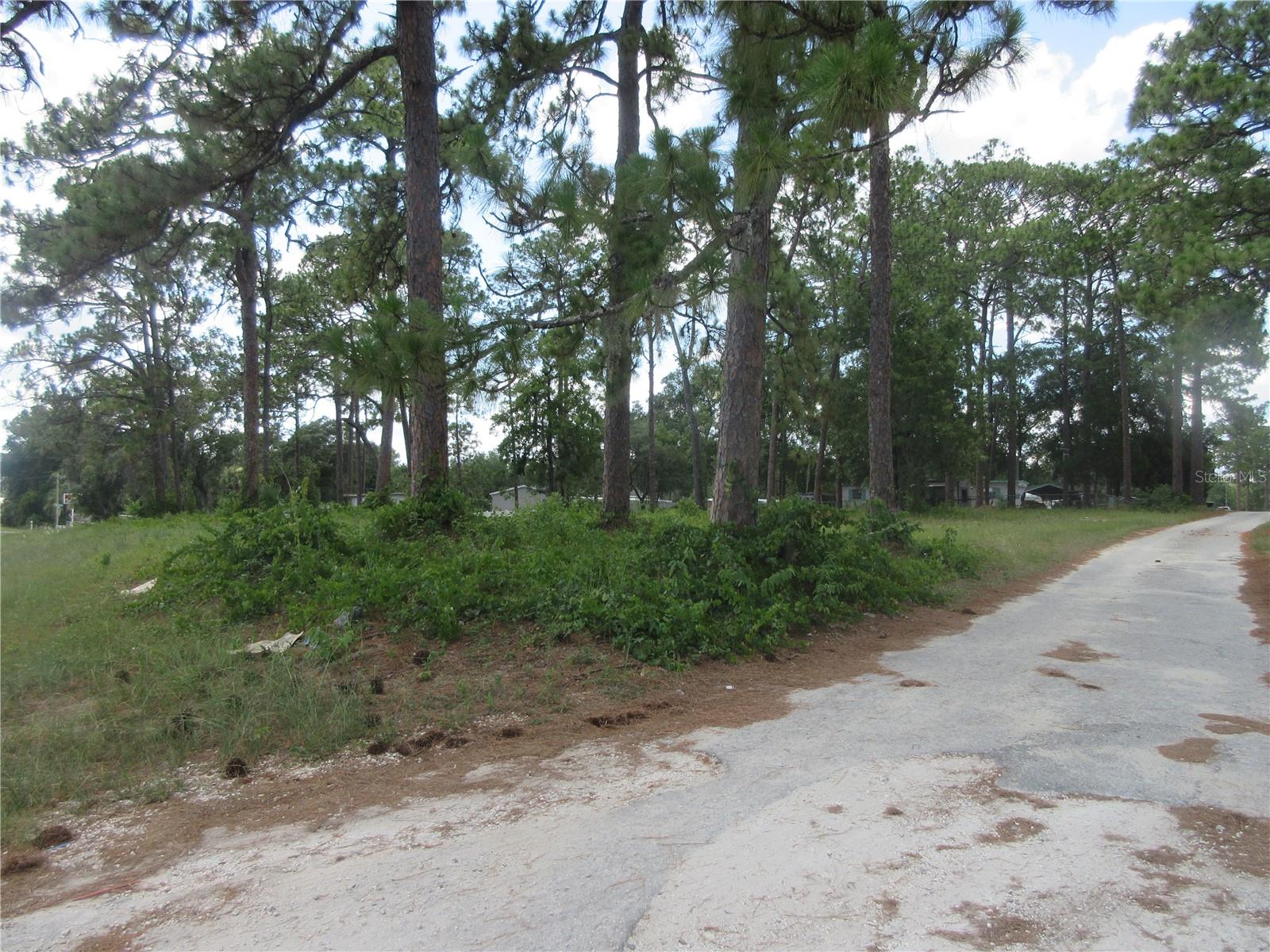 5th image of 787 Se 162Nd Ter, Silver Springs, FL 34488 | MLS# OM728703