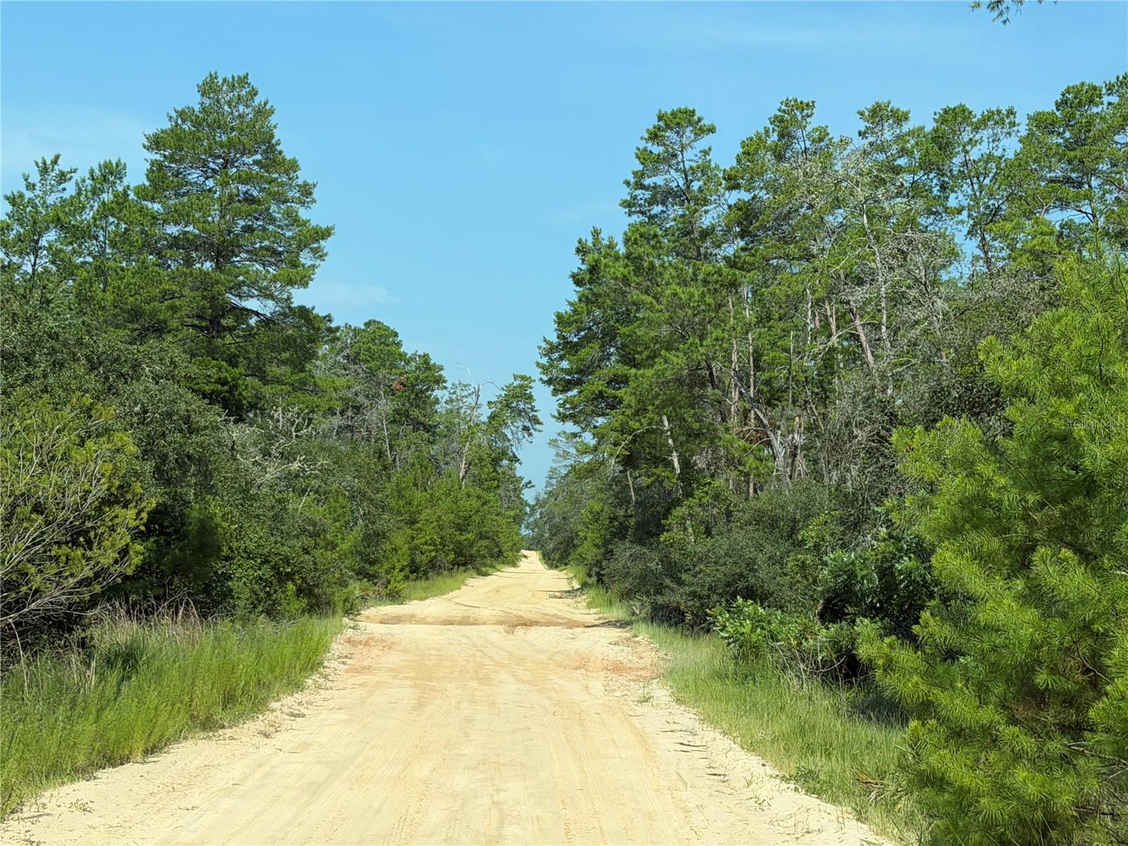 3rd image of 0 Se 150Th Forest 02, #3, Se 150Th St, Umatilla, FL 32784 | MLS# G5115246