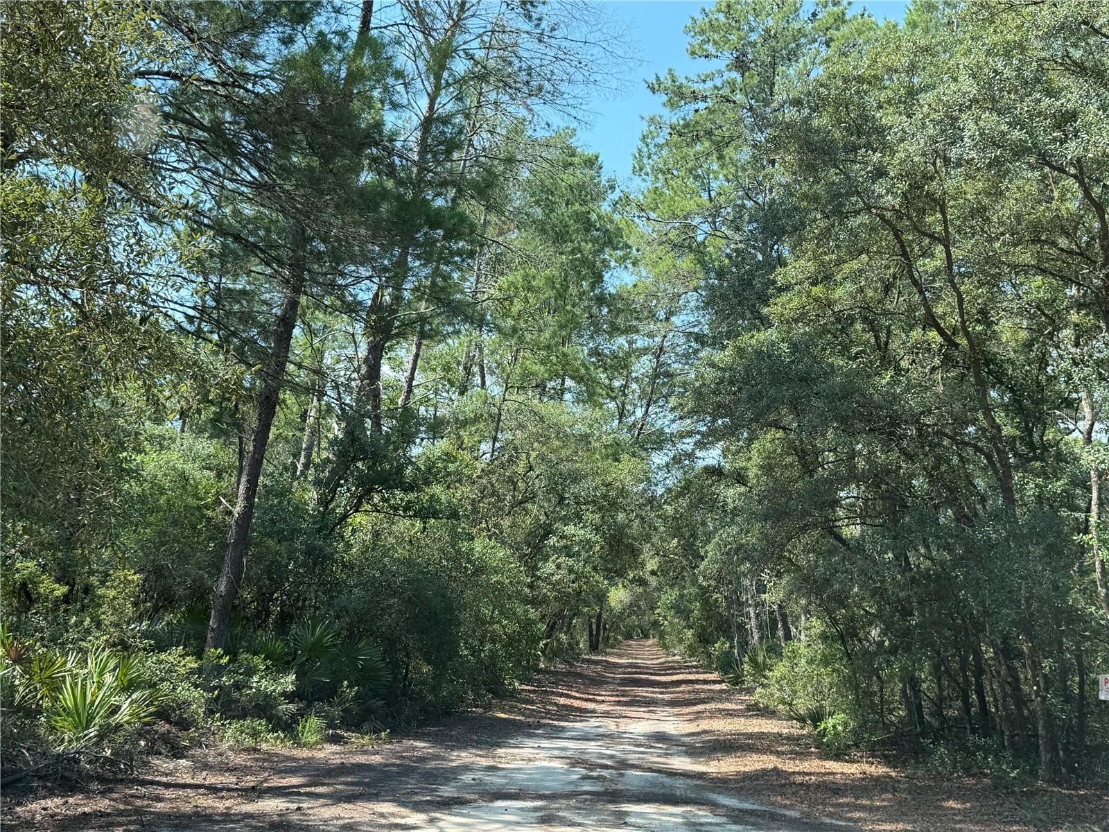 4th image of 0 Se 150Th Forest 02, #3, Se 150Th St, Umatilla, FL 32784 | MLS# G5115246