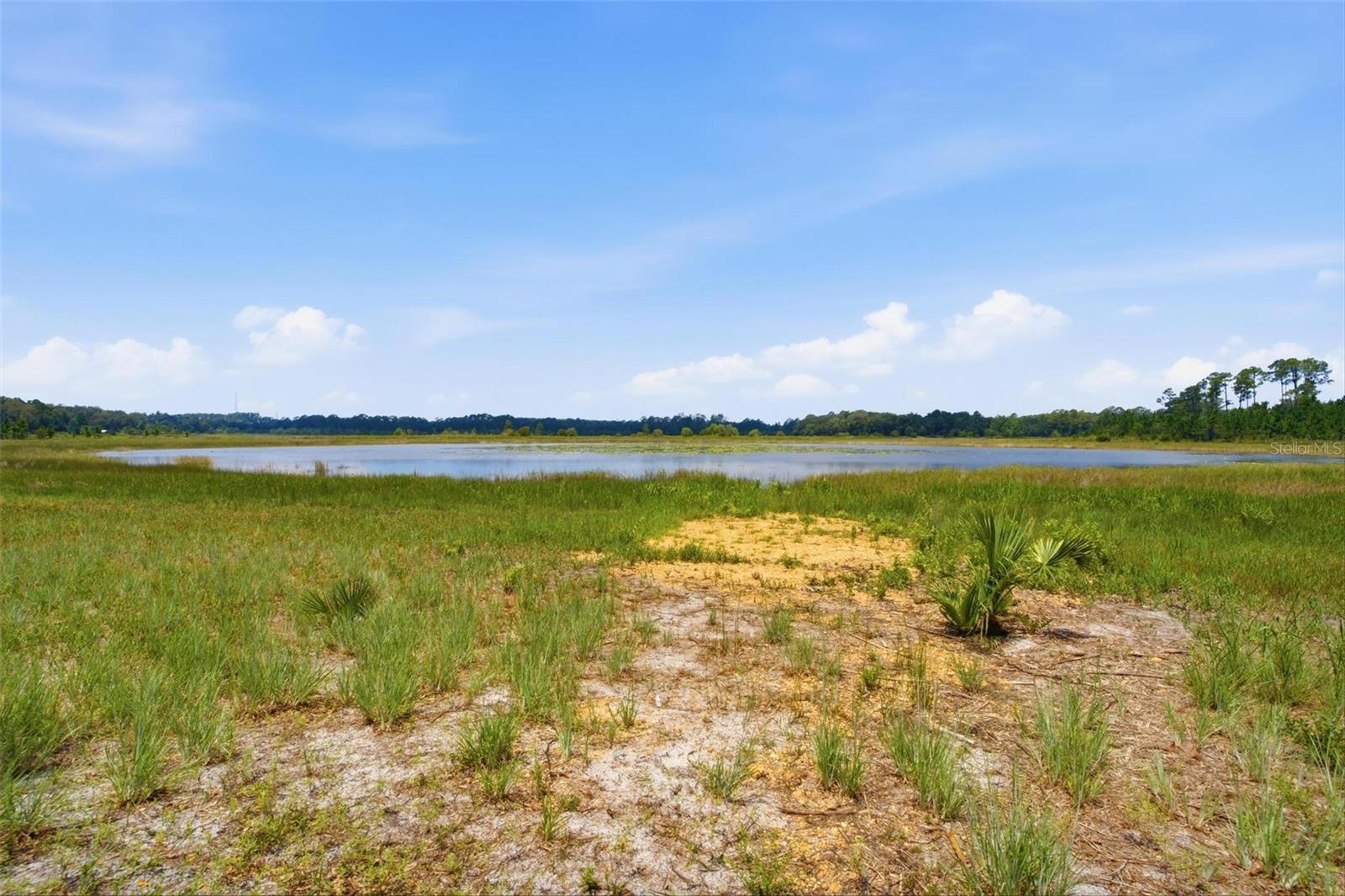 5th image of 0 Se 150Th Forest 02, #3, Se 150Th St, Umatilla, FL 32784 | MLS# G5115246