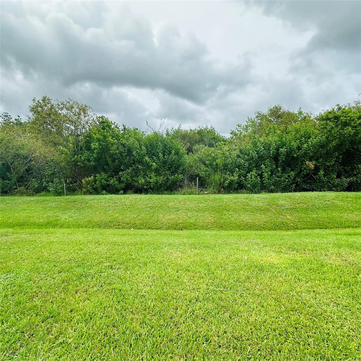 5th image of 13412 Sw Pembroke Cir N, Lake Suzy, FL 34269 | MLS# C7528538