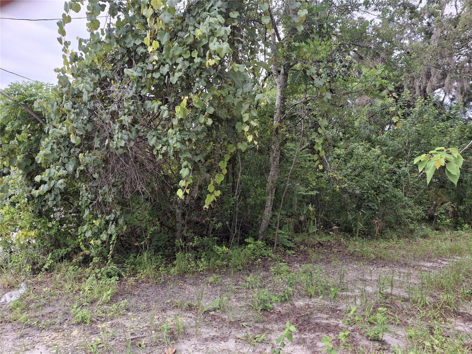 2nd image of 15371 Winner Ln, Hudson, FL 34667 | MLS# W7887778
