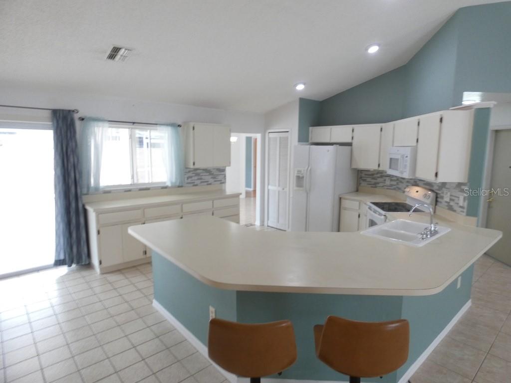 4th image of 907 Brittany Park Blvd, Tarpon Springs, FL 34689 | MLS# W7887781