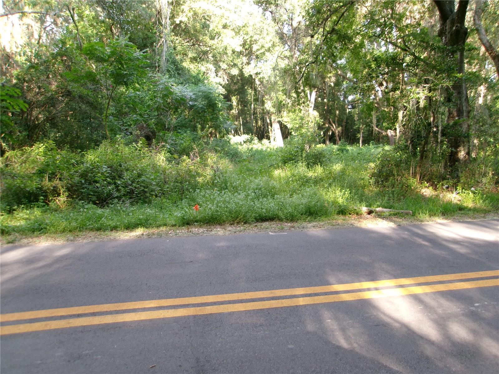2nd image of St Clair St, Wildwood, FL 34785 | MLS# G5115286