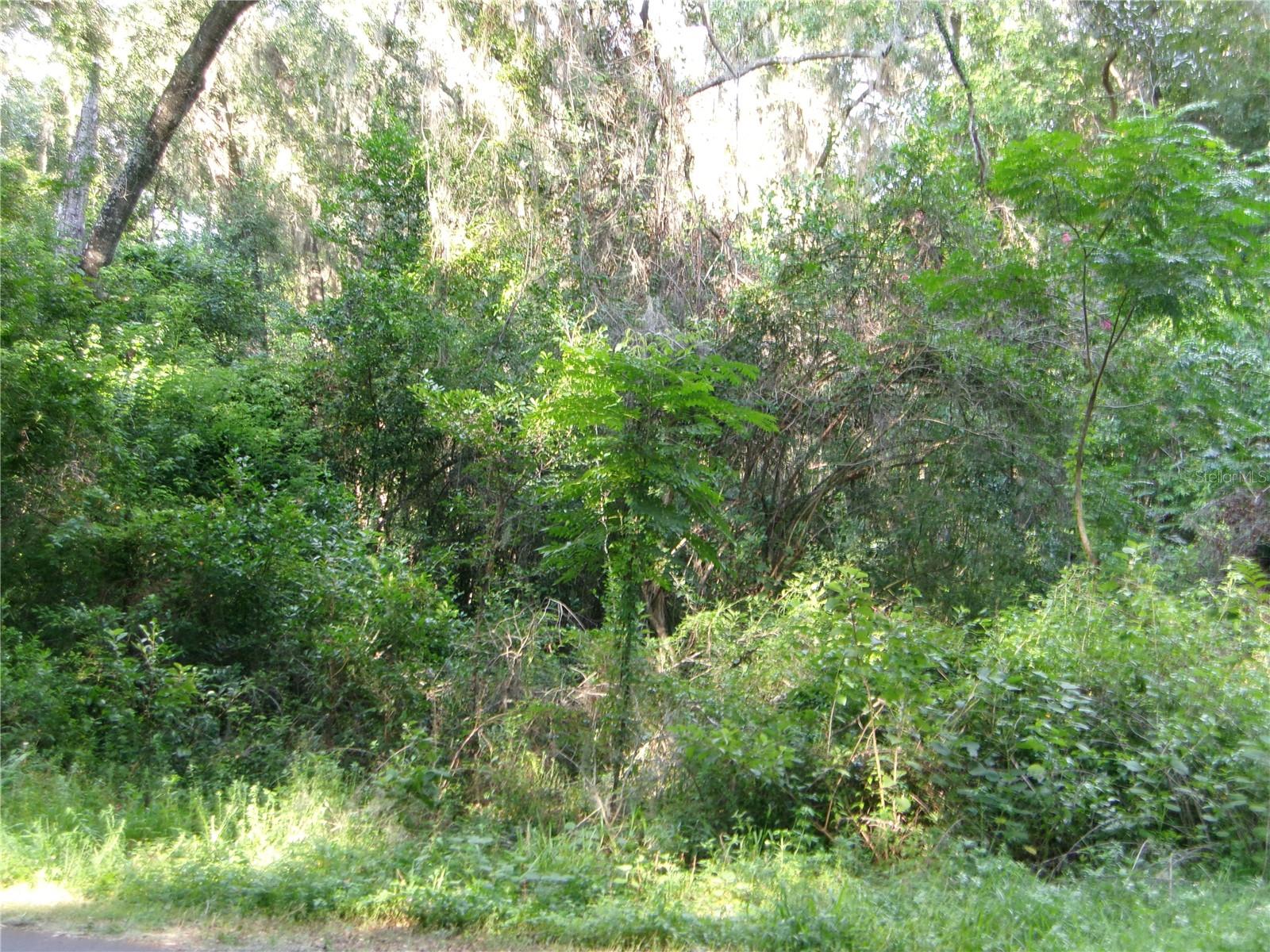 5th image of St Clair St, Wildwood, FL 34785 | MLS# G5115286