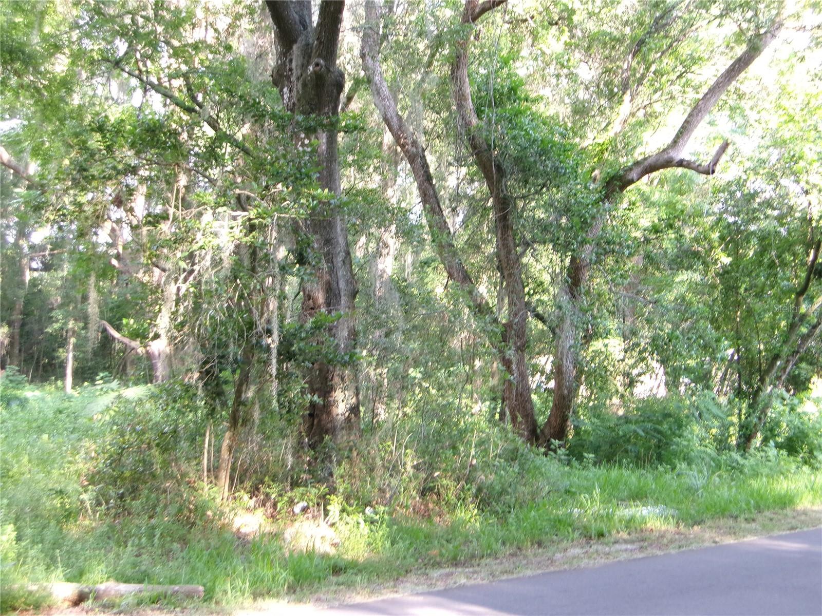 3rd image of St Clair St, Wildwood, FL 34785 | MLS# G5115286